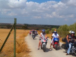 XIX Concentracion - 2012